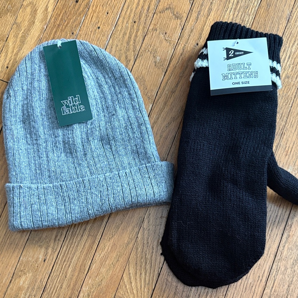 Wild Fable Gray Beanie and Black Mittens Set